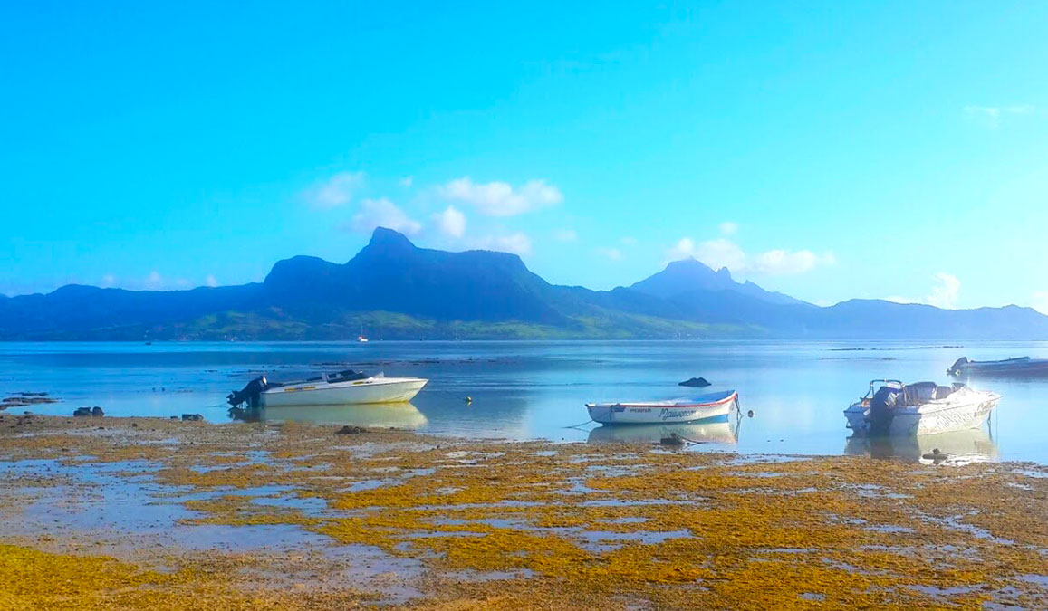 EDITORIAL / « See, Sense and Soul », la carte culture de l’île Maurice